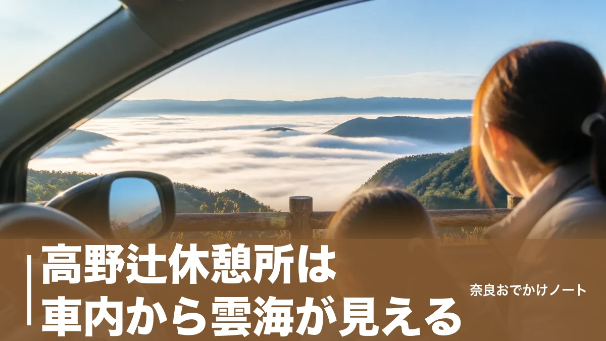 高野辻休憩所は車内から雲海が見える｜標高980mの野迫川村で子連れが空振りしない段取りのアイキャッチ画像