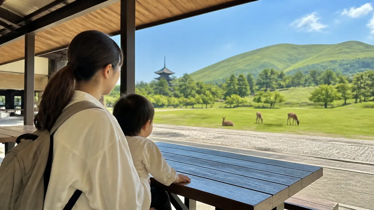 新若草山ドライブウェイで山頂へ行くときの料金と注意点の解説画像